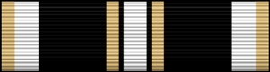 COAST GUARD AUXILIARY EXCELLENCE E RIBBON