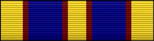 Coast Guard Auxiliary Distinguished Service Medal