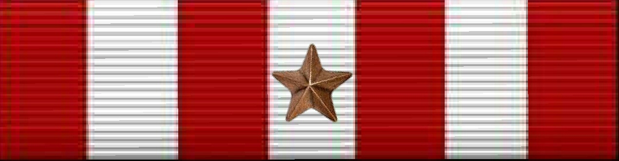 Auxiliary Public Affairs 2 Ribbon
